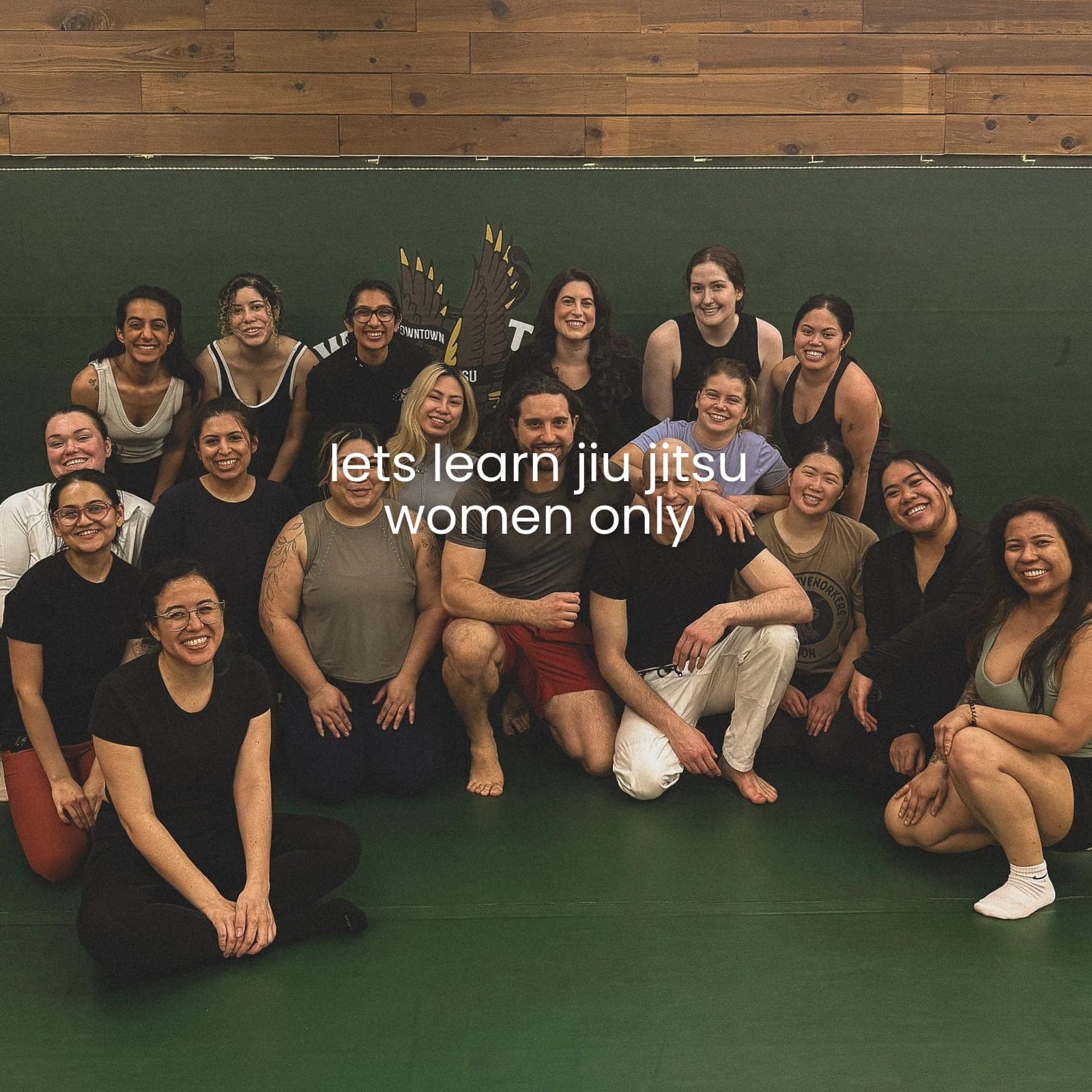 let's learn jiu jitsu (women only)