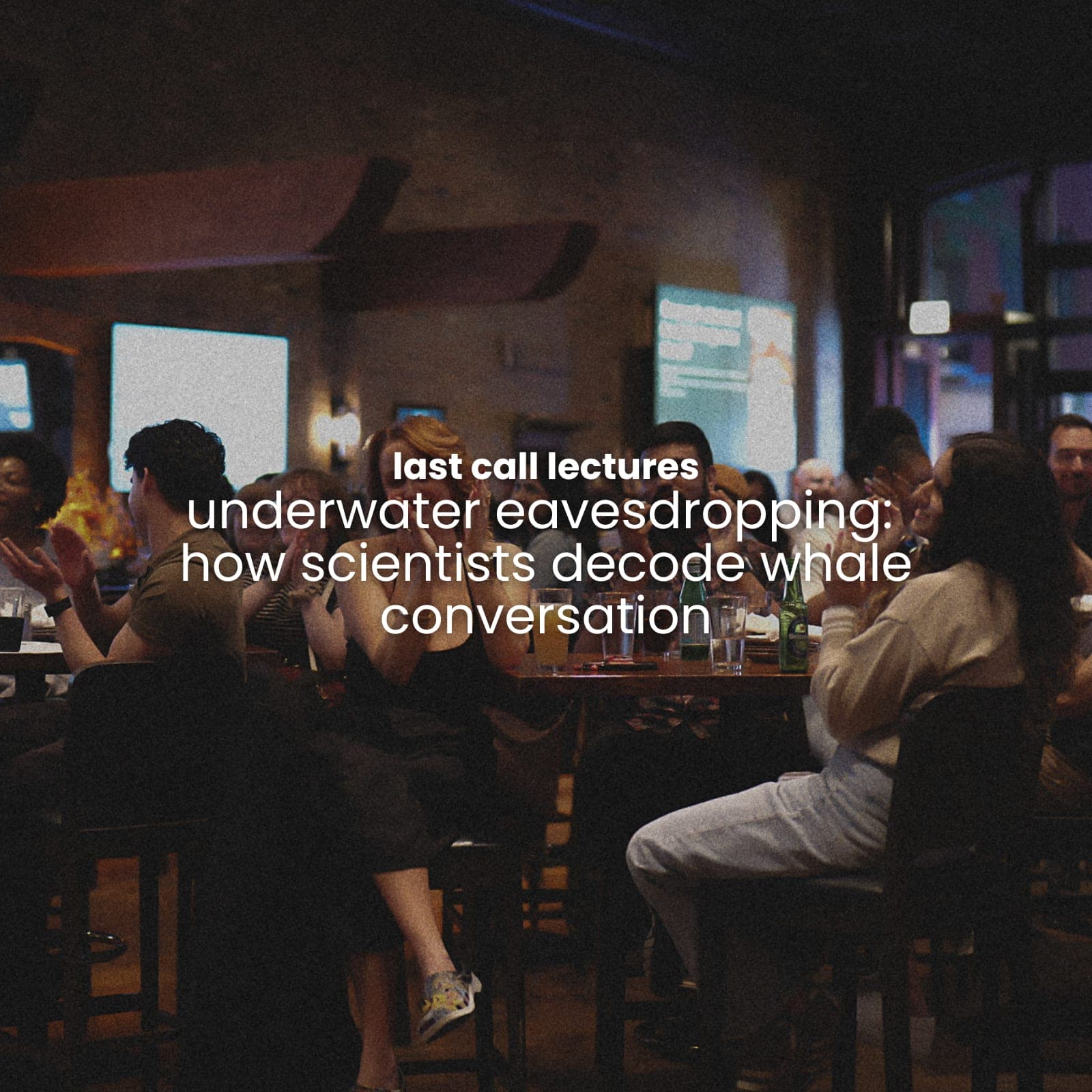 last call lectures: underwater eavesdropping - how scientists decode whale conversation