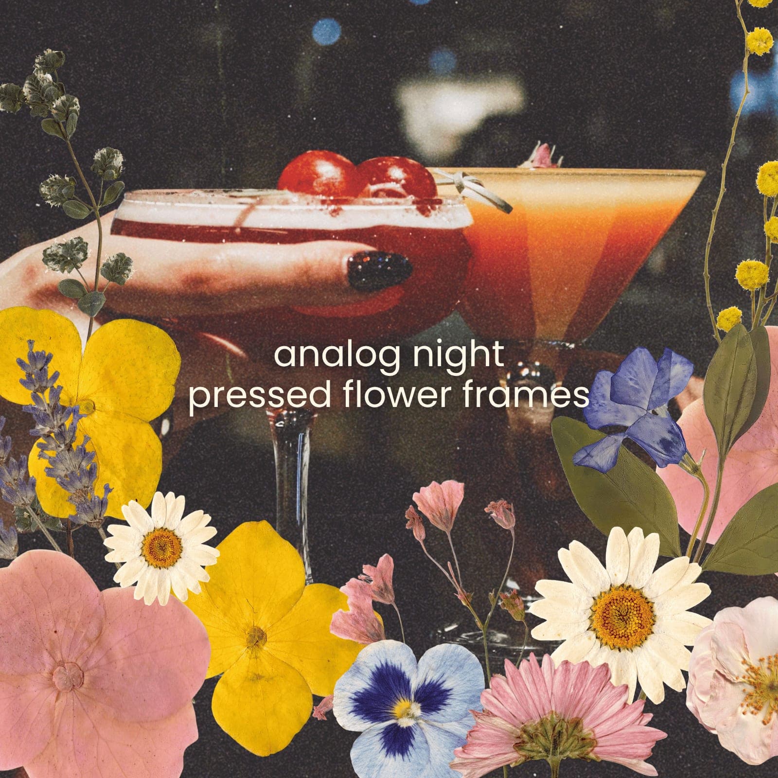 analog night: pressed flower frames