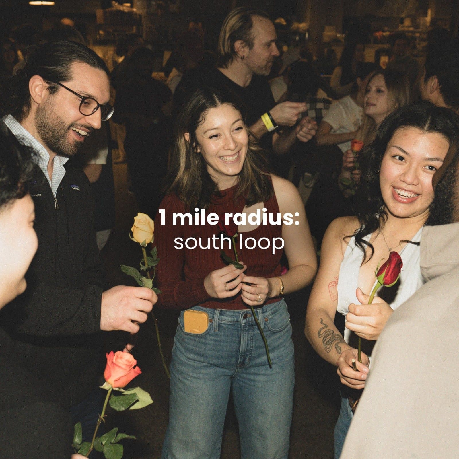 1 mile radius: south loop